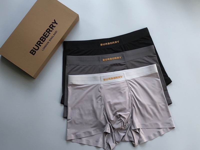 Burberry boxer L-3XL 08